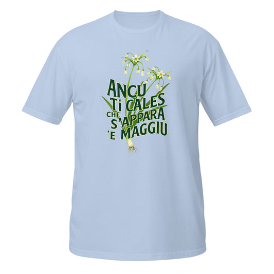 ANCU TI CALES CHE S'APPARA 'E MAGGIU